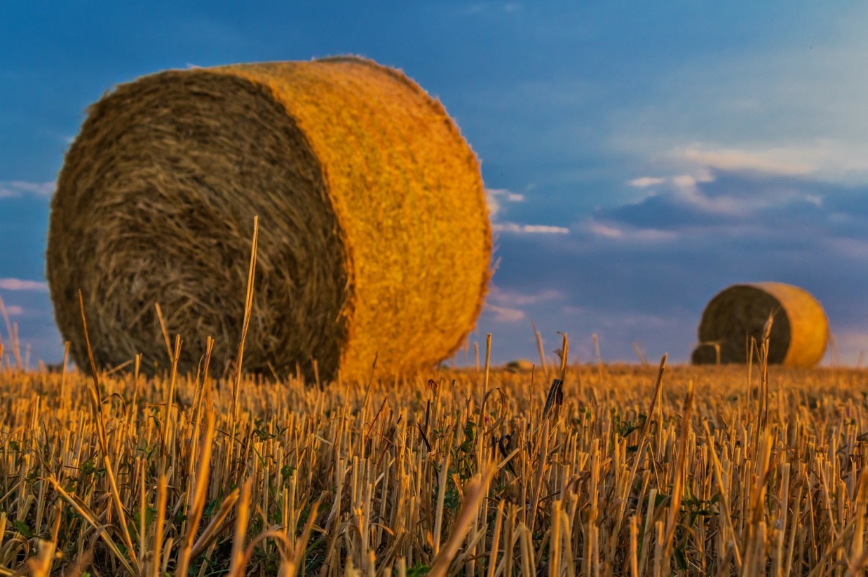 El MAPA sorprende al anunciar un aumento del 11,1% de la Renta Agraria, hasta 31.931 M€ en 2023