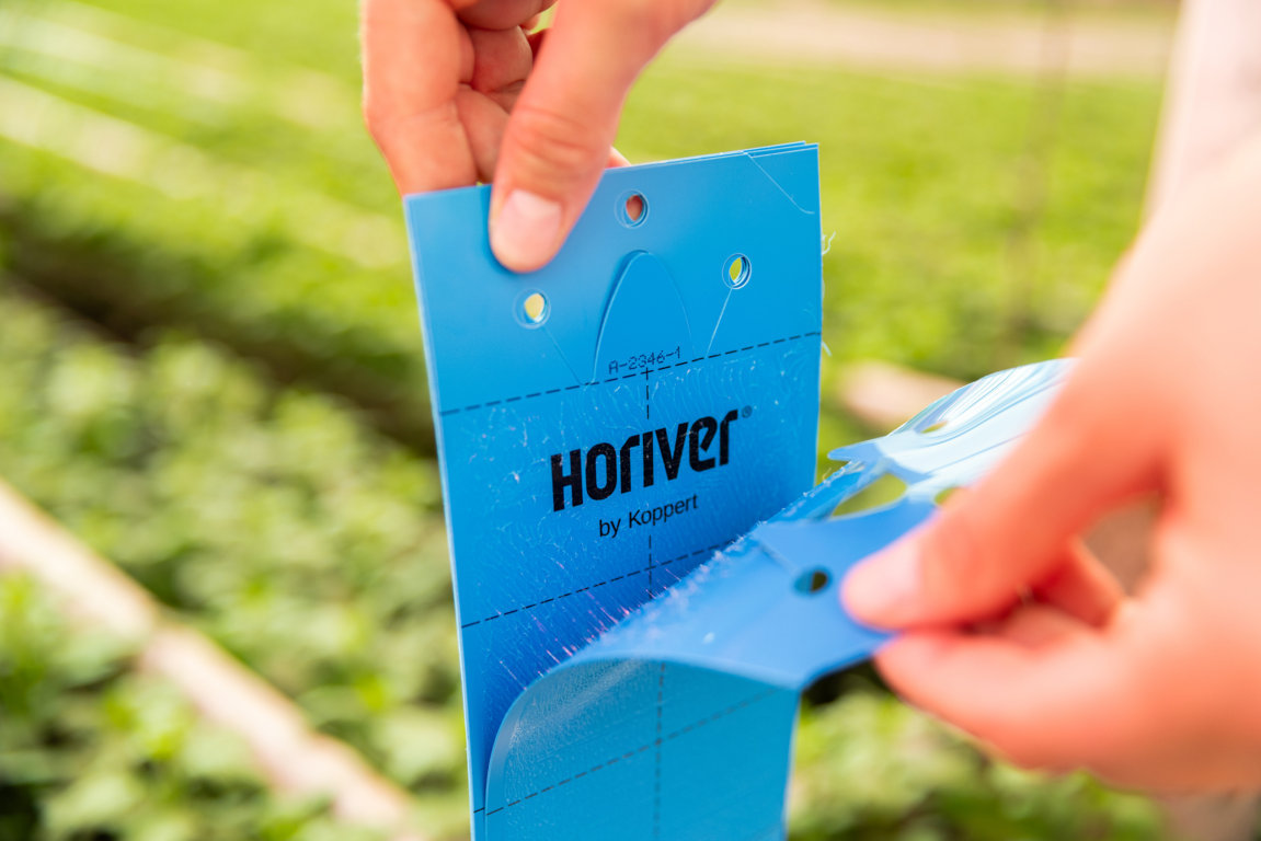 La gama de productos Horiver de Koppert estrena nuevo diseño y nuevos envases