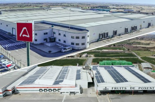 Actel Grup y Fruits de Ponent avanzan en la creación de una sociedad compartida