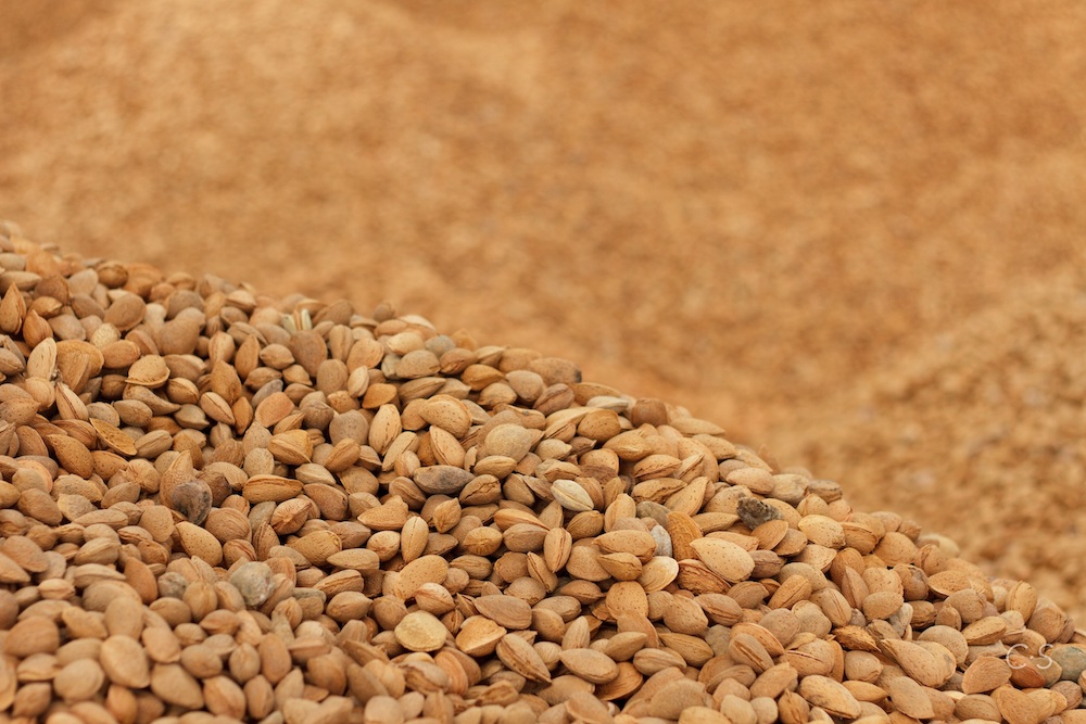 Crisolar Nuts podrá exportar almendras origen España a China