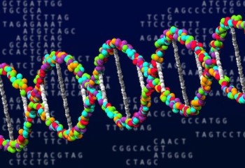 El sector biotecnológico español pide el voto de la UE a favor de la edición genética