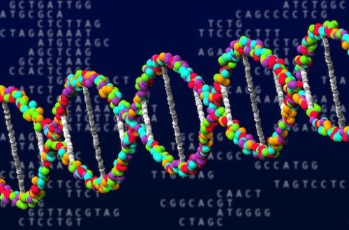 El sector biotecnológico español pide el voto de la UE a favor de la edición genética
