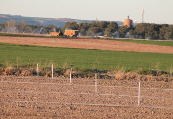 La compraventa de fincas rústicas se dispara un 33% en mayo