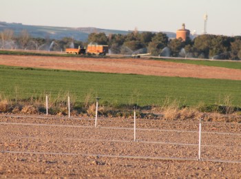 La compraventa de fincas rústicas crece un 27,3% en marzo
