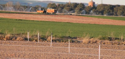 La venta de fincas rústicas bajó un 4,2% anual en abril