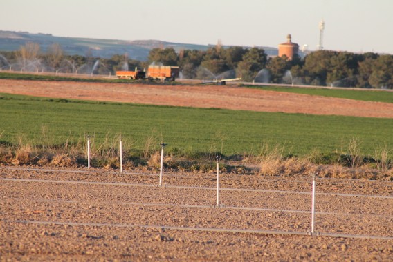 Las hipotecas de fincas rústicas bajan en junio un 11,3% mensual y suben un 8,1% anual