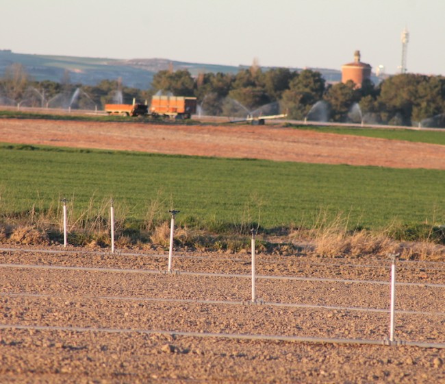 La compraventa de fincas rústicas crece un 27,3% en marzo