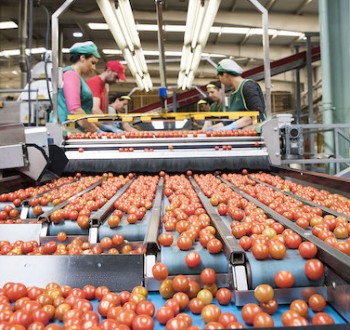 La producción de la industria alimentaria subió un 3,7% interanual en junio