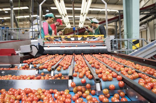 La facturación de la industria alimentaria subió un 3,5% en 2024