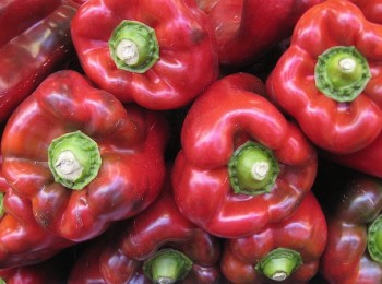 Comienza la campaña de exportación de pimiento de Almería a Estados Unidos