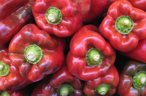 Abierto de nuevo el mercado estadounidense a la exportación del pimiento rojo almeriense