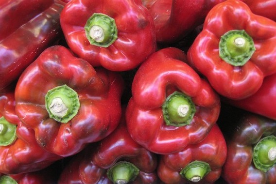 Comienza la campaña de exportación de pimiento de Almería a Estados Unidos