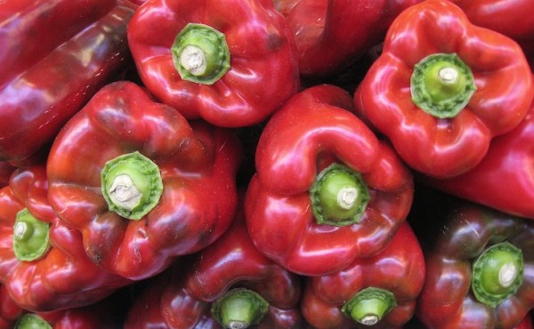 Comienza la campaña de exportación de pimiento de Almería a Estados Unidos