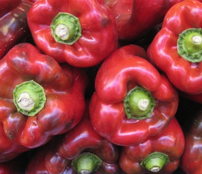 Comienza la campaña de exportación de pimiento de Almería a Estados Unidos