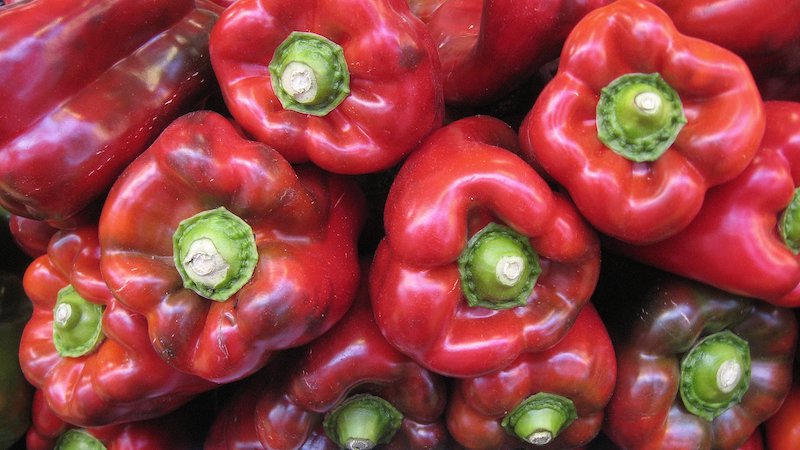 Abierto de nuevo el mercado estadounidense a la exportación del pimiento rojo almeriense