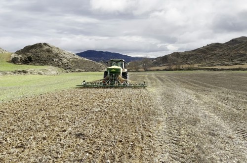 Solo un 14% de los agricultores utiliza cereales y leguminosas como parte de su rotación