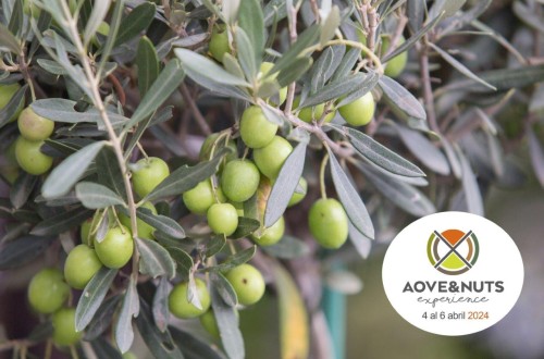 Aove & Nuts Experience, del 4 al 6 de abril en Talavera de la Reina