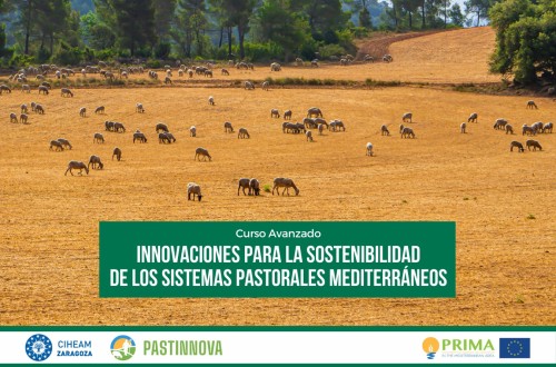 Curso de verano sobre innovación y sistemas pastorales