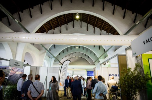 La olivicultura 4.0, eje de la próxima edición de la Feria del Olivo de Montoro