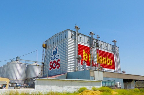 La división arrocera impulsó un 53,2% el beneficio neto de Ebro Foods en 2023