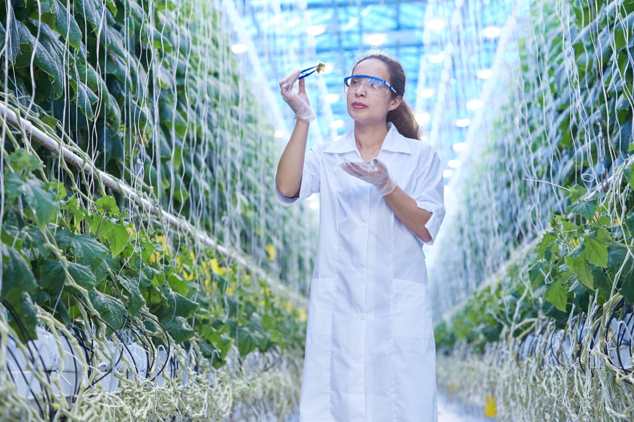 Premio José Cascón para proyectos fin de máster y tesis doctorales del Colegio Oficial de Ingenieros Agrónomos de Centro y Canarias