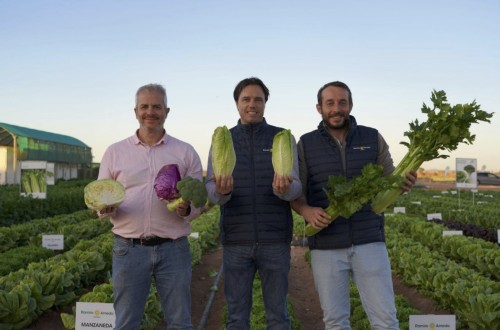 Ramiro Arnedo presenta sus novedades en cultivos de hoja, brassicas y apio en la Lettuce Week 2024
