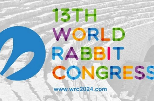 El congreso mundial de Cunicultura 2024 se celebrará en Tarragona