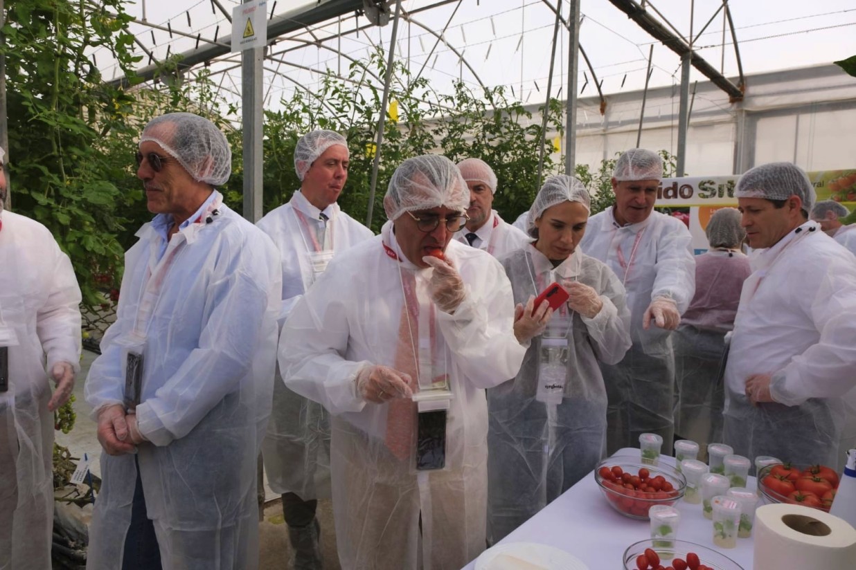 Syngenta amplía sus centros de innovación en cultivos hortícolas en Almería y Murcia