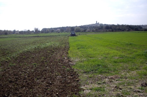 Baleares hace un nuevo pago de las ayudas de la PAC 2023 por 4,2 millones