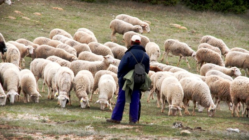 Casi 10.000 agricultores y ganaderos de Castilla y León formalizan préstamos bonificados por 410 millones