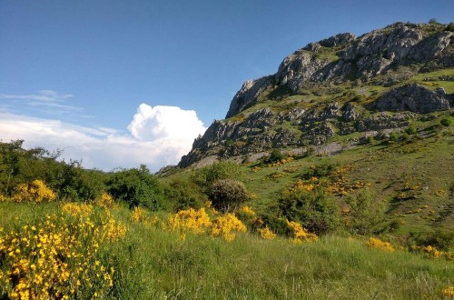 Asaja denuncia la traición al campo tras la aprobación de la Ley de Restauración de la Naturaleza