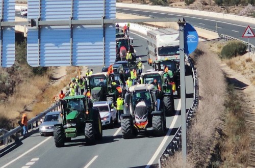 Protestas en Palma y Almería y la vista puesta en la concentración del miércoles en Madrid