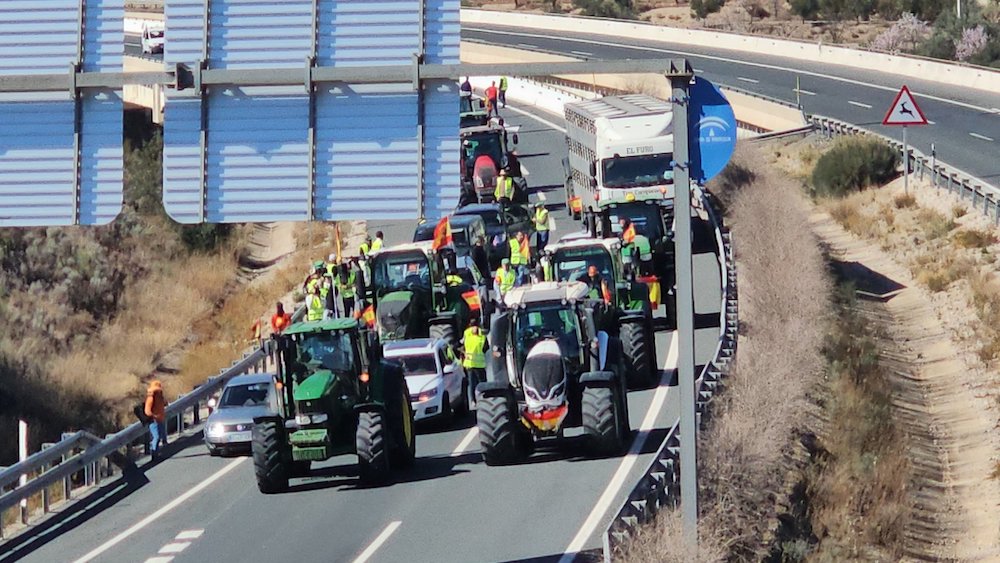 Protestas en Palma y Almería y la vista puesta en la concentración del miércoles en Madrid