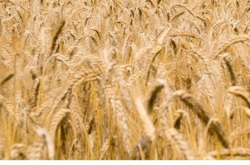 Saeca presenta en el MAPA la ampliación de su línea para reafianzar créditos en el sector agroalimentario