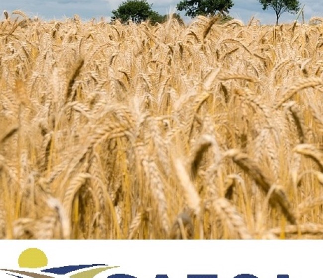Ampliada en 25 millones la línea de Saeca para el sector agrario, pesquero y alimentario
