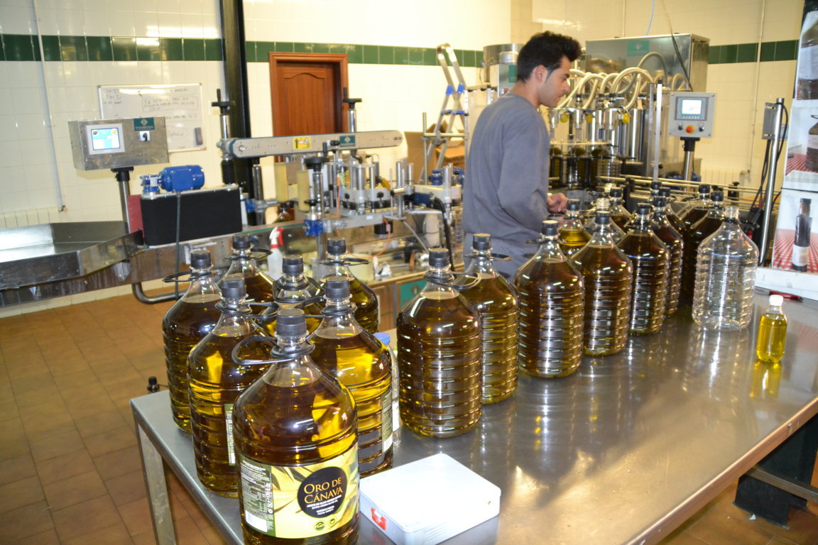 La producción nacional de aceite de oliva se eleva ya a casi 830.000 t en la campaña 2023/24