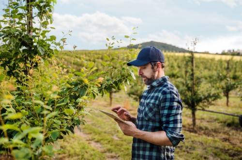 La app Farmable permite de los agricultores de Castilla y León conectarse al Registro de Explotaciones Agrícolas
