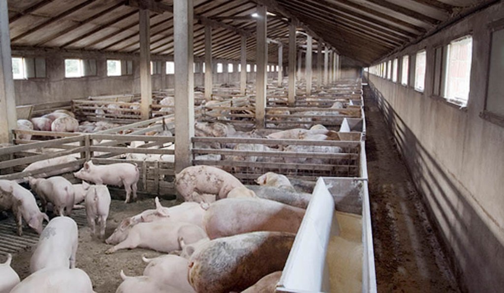 La Eurocámara decepciona al agro al aprobar sin cambios y muy dividida la Directiva sobre Emisiones Industriales