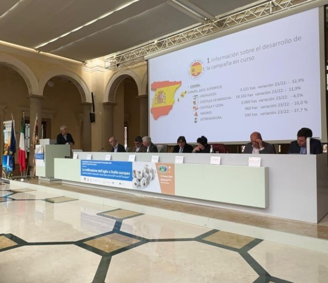 Propuesta de Italia, Francia y España para mejorar la disponibilidad de fitosanitarios en el cultivo de ajo