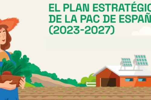 El MAPA prepara un real decreto para adaptar el PEPAC y la voluntariedad del CUE a los cambios legales previstos