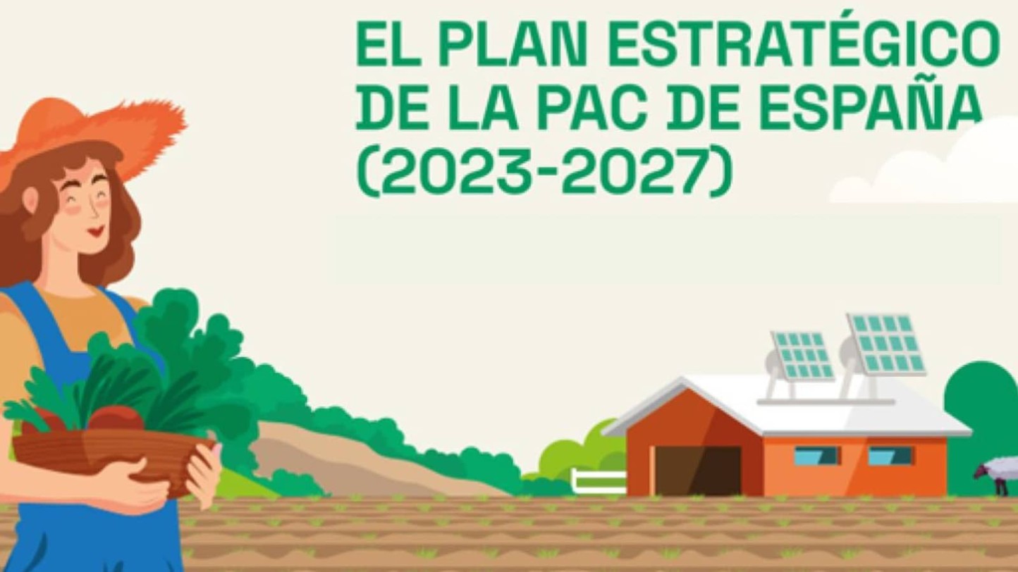 El MAPA prepara un real decreto para adaptar el PEPAC y la voluntariedad del CUE a los cambios legales previstos