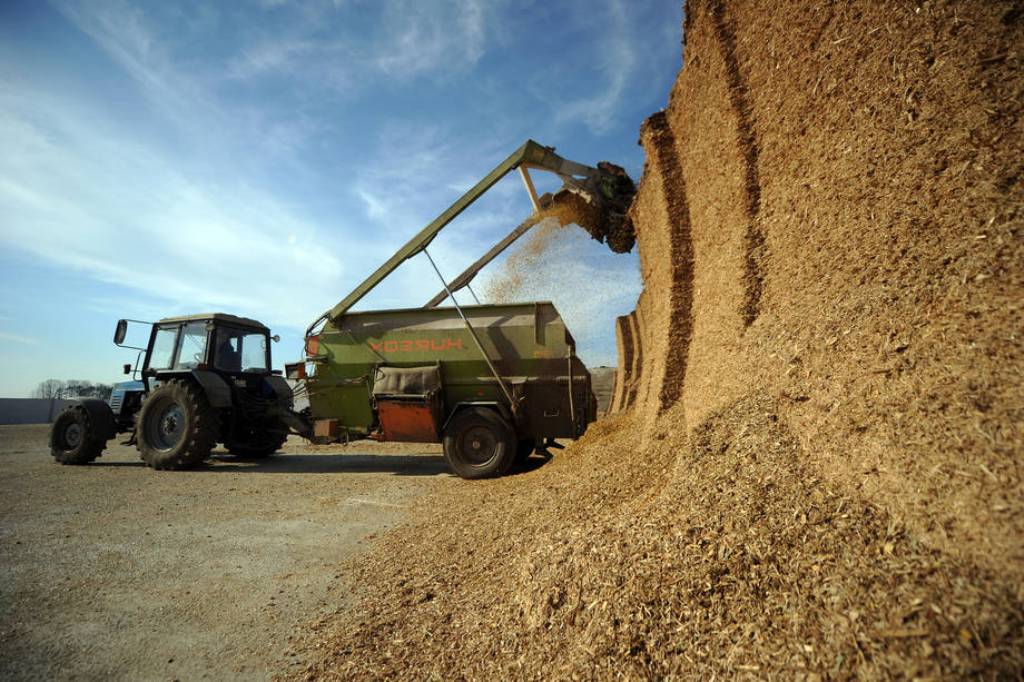 ¿Cómo evolucionaron los precios pagados por los insumos y servicios agrarios en 2023?