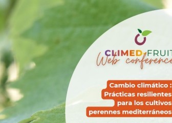 Disponibles los vídeos del webinar sobre cambio climático en cultivos mediterráneos de Climed-Fruit