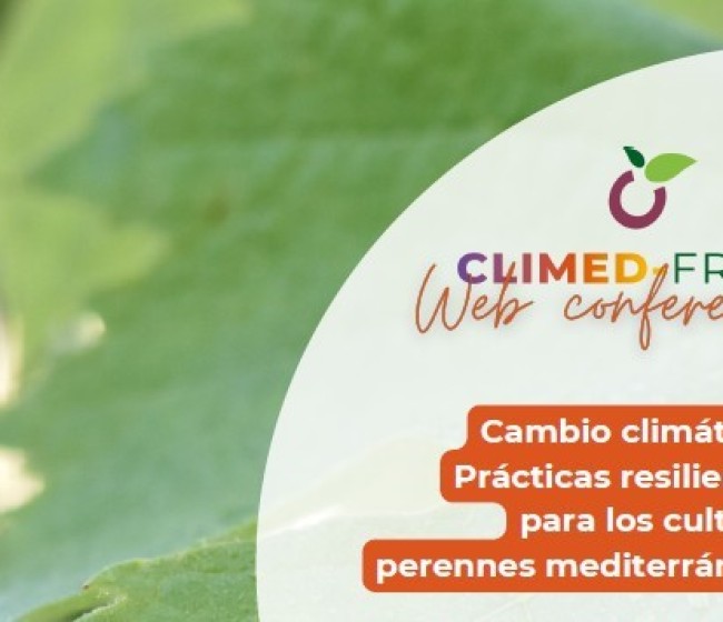 Disponibles los vídeos del webinar sobre cambio climático en cultivos mediterráneos de Climed-Fruit