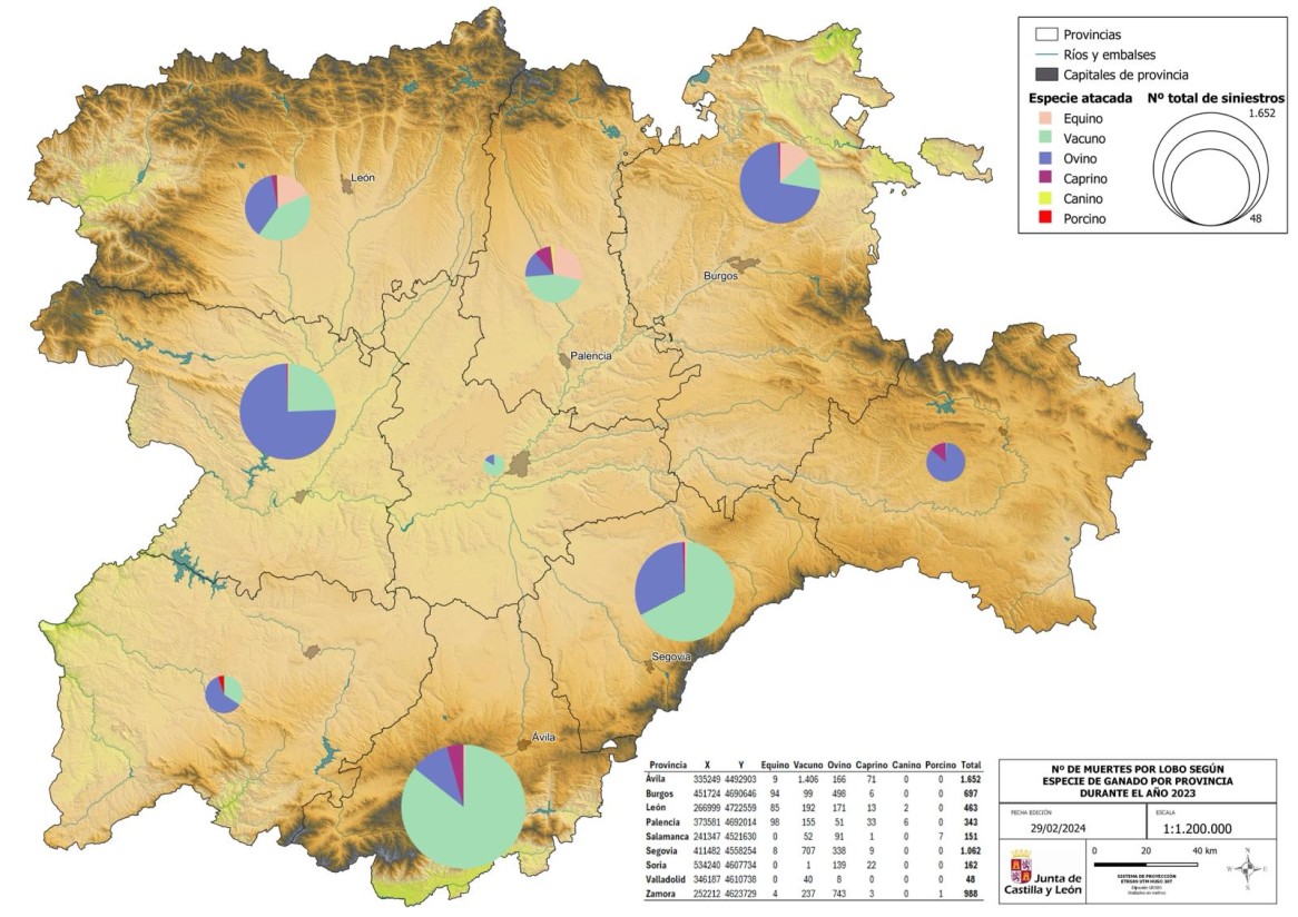 Los ataques de lobo al ganado alcanzaron una cifra récord en Castilla y León en 2023