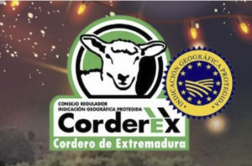 Jornadas Técnicas de Ovino de Corderex