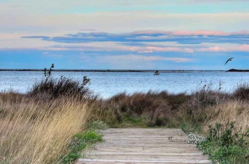 El Miteco presenta el Marco de Actuaciones orientadas a evitar la regresión del Delta del Ebro