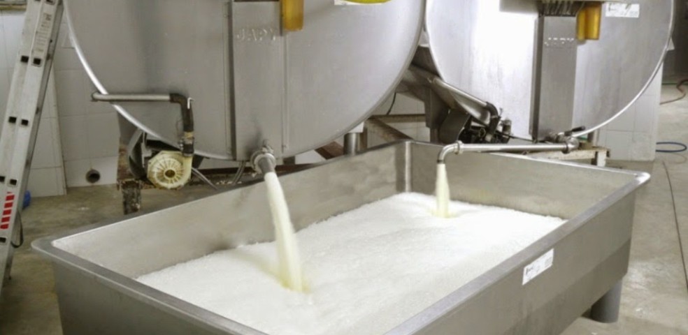 leche cruda