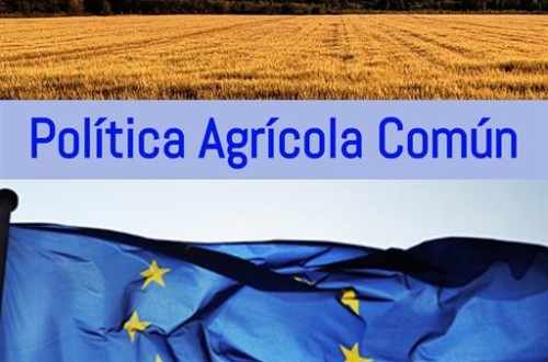 Novedades en la Solicitud Única de la PAC para 2025: simplificación y flexibilidad para agricultores y ganaderos