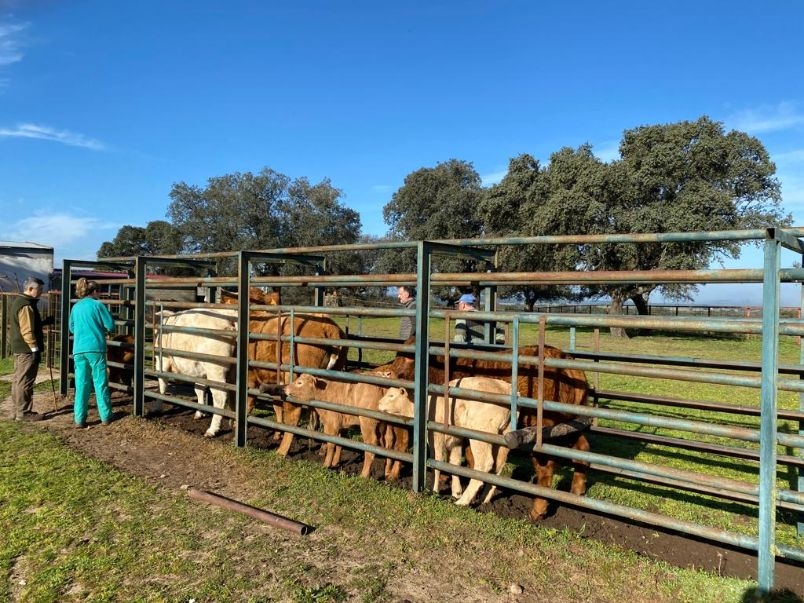 La EFSA considera vital proseguir los esfuerzos para reducir la resistencia a los antimicrobianos en salud animal y humana